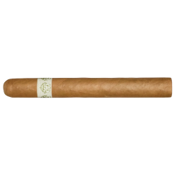 Blanco Diplomats einzelne Zigarre