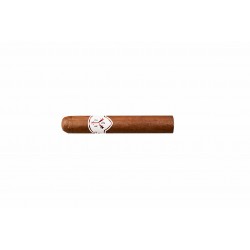 Adventura The Explorer Robusto Grande einzelne Zigarre