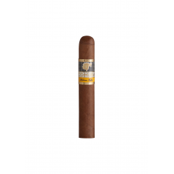 Cohiba Siglo 1 Kiste einzelne Zigarre