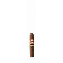 Joya de Nicaragua Antano Consul einzelne Zigarre