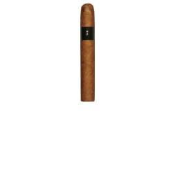 Patoro Platino Robusto einzelne Zigarre