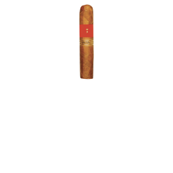 Patoro Vintage Petit Robusto einzelne Zigarre