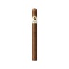 Davidoff WSC Churchill - Onlineshop Urs Portmann Tabakwaren AG