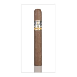 Cohiba Siglo 6 einzelne Zigarre