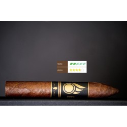 ZiZo Limited Edition exclusiv im Urs Portmann Onlineshop kaufen