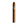 Partagas Linea Maestro Rito einzelne Zigarre