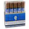 Gilbert de Montsalvat Classic Robusto